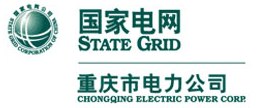 重庆市电力公司